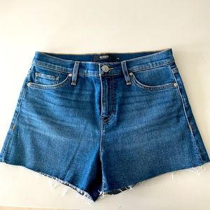 Hudson Denim Shorts (26)
